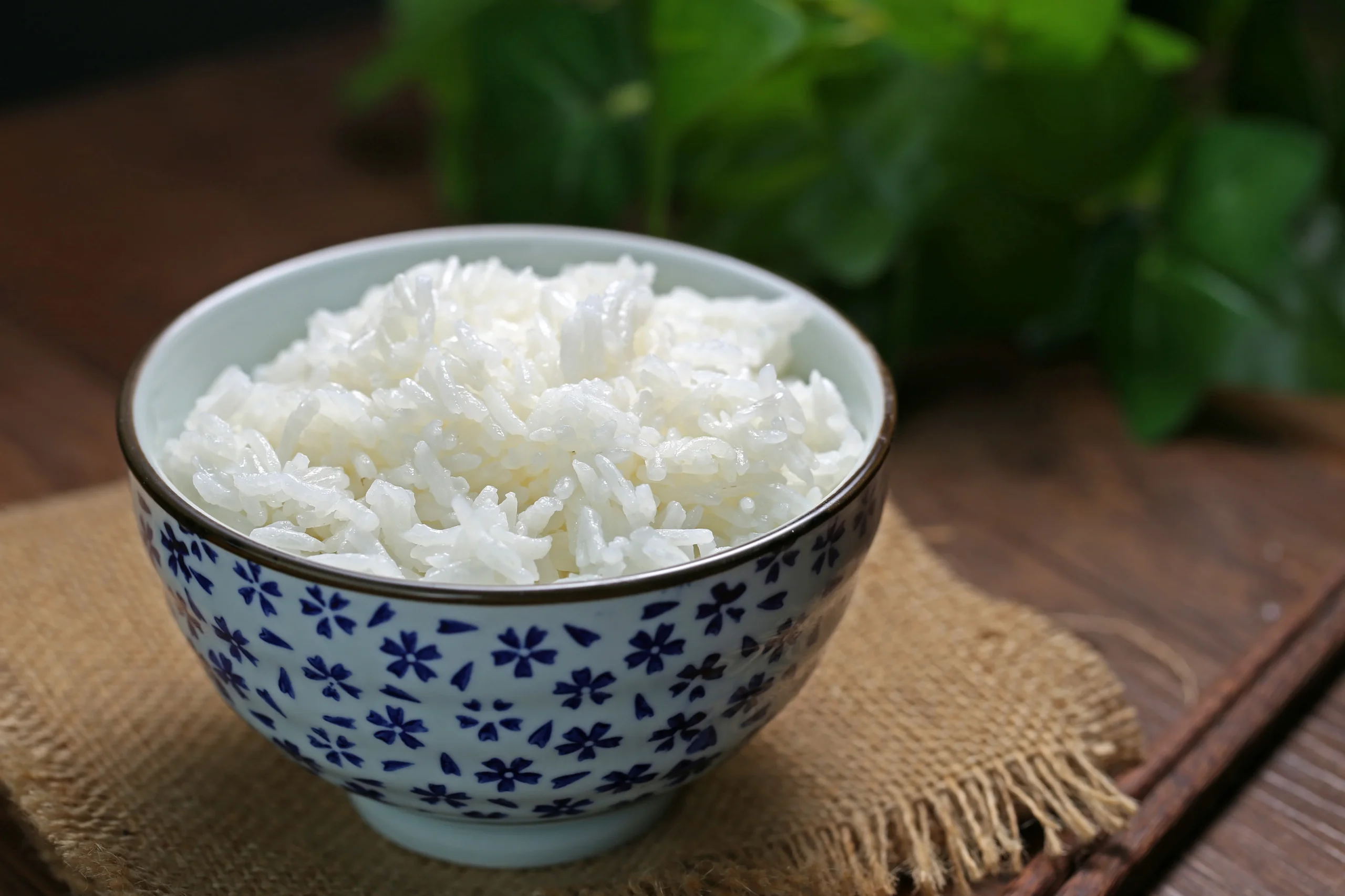 Aku Makan Nasi Dingin yang Sudah Dimasak 12 Jam Setiap Hari Selama 2 Pekan: Efek ke Gula Darahku Bikin Ahli Gizi Melongo